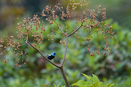 Ecuador-18